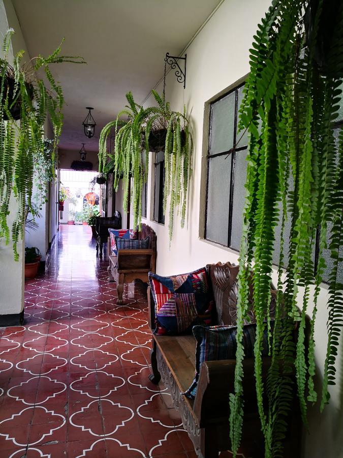 Hospedaje El Viajero Antigua Lli Exteriér fotografie
